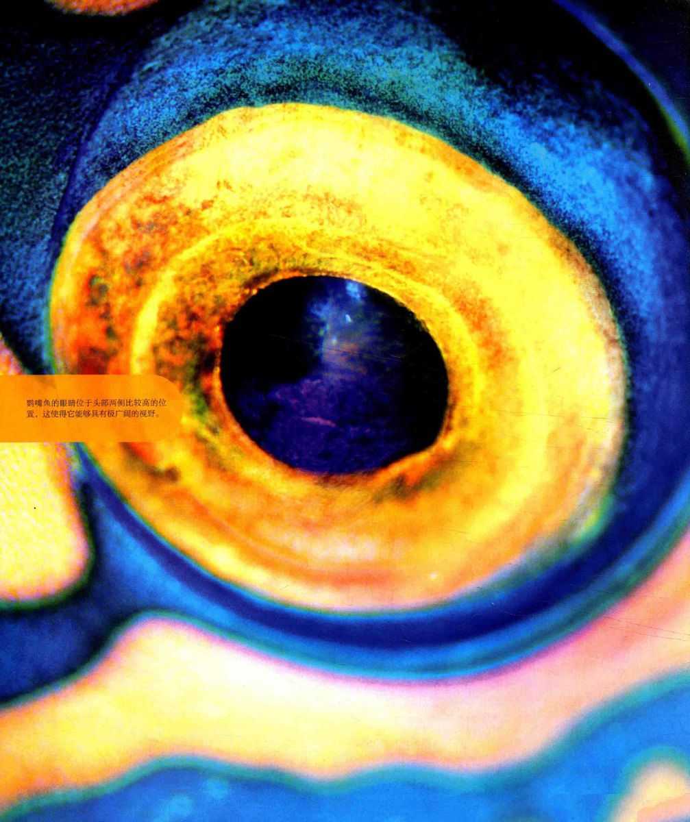 DK微观世界大百科(2