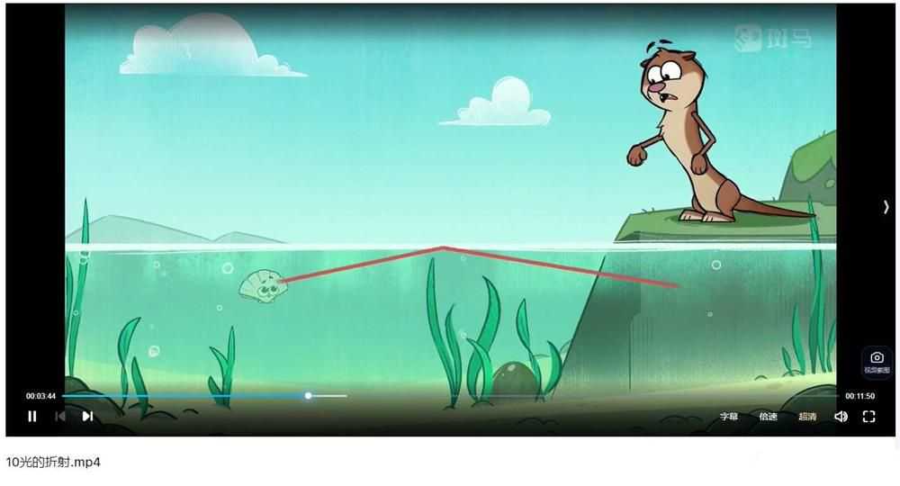 《斑马百科》20科全套高清视频(3