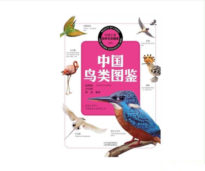 中国之美-自然生态图鉴-知学乐园