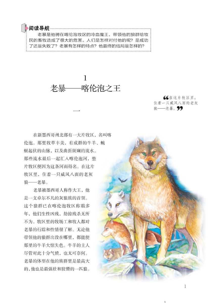 名著全彩导读11本4