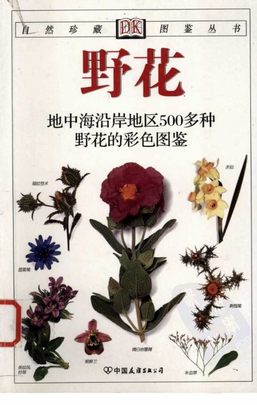 DK野花图鉴-知学乐园