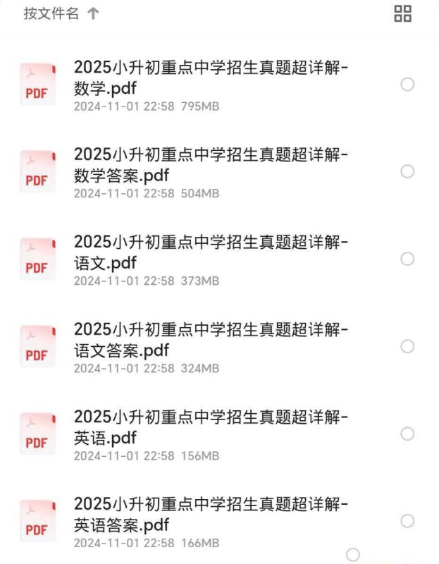 2025版语数英三科小升初重点中学真题详解-知学乐园