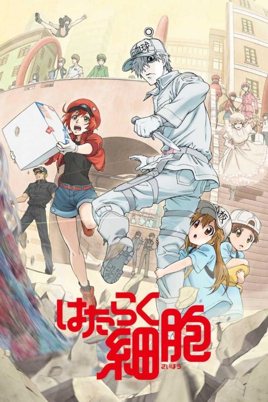 超治愈动画片《工作细胞》 1080P-知学乐园