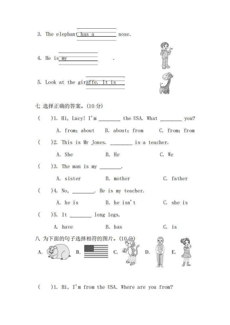 25春人教版译林版外研版《期中真题卷》(3