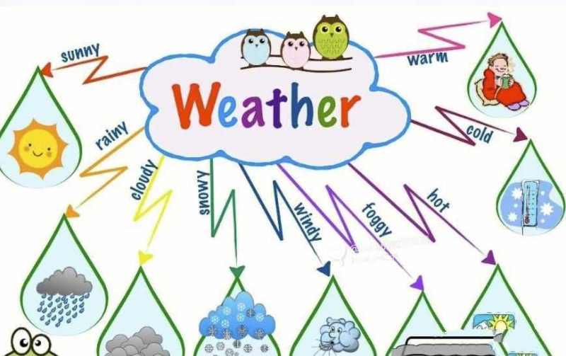 【少儿英语启蒙基础版思维导图】[337.40MB]-知学乐园