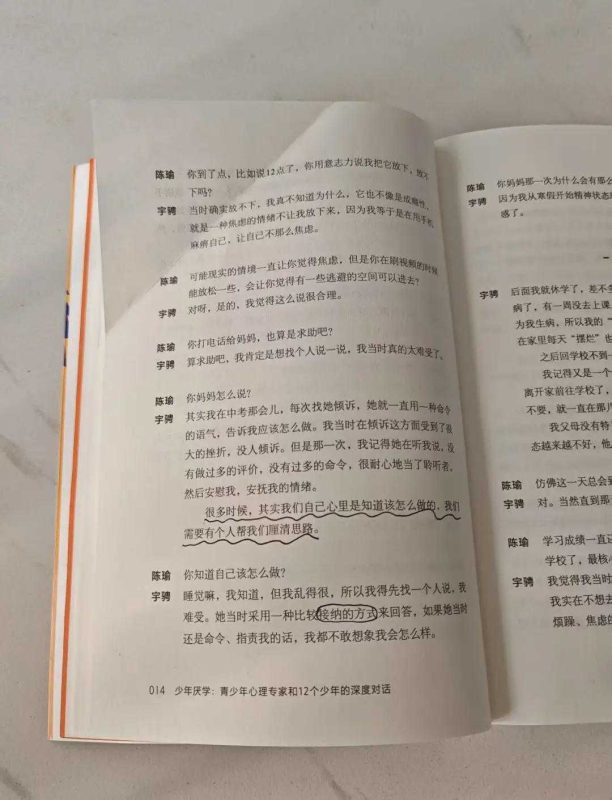 少年厌学：青少年心理专家和12个少年的深度对话-知学乐园