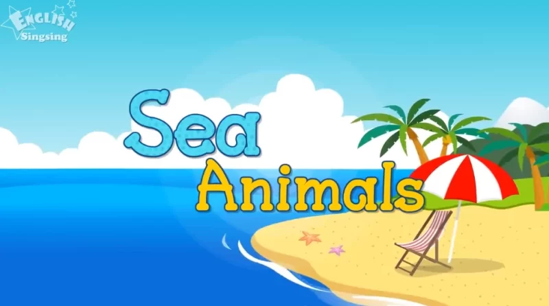 看动画学小学英语-知学乐园