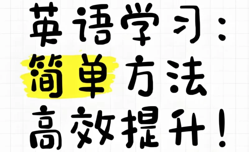 大大卫《英语课程合集 (小学-大学) 》-知学乐园